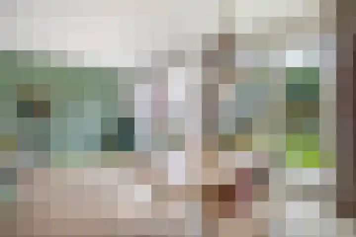 Ligtsedreef 22 Nuenen thumbnail 17