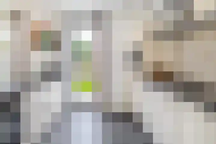 Ligtsedreef 22 Nuenen thumbnail 19