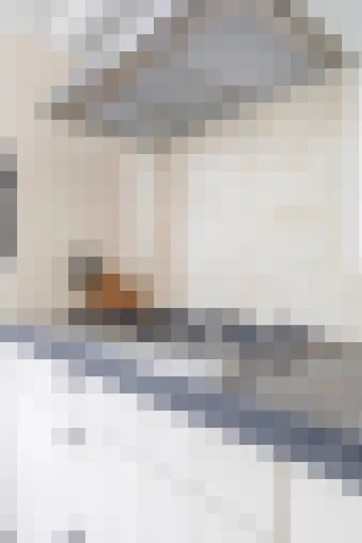 Ligtsedreef 22 Nuenen thumbnail 21