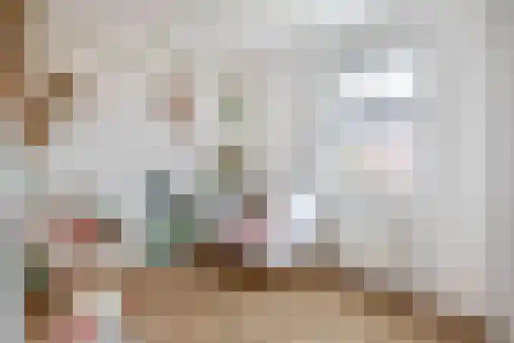 Ligtsedreef 22 Nuenen thumbnail 26