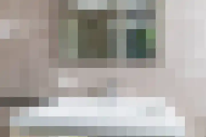 Ligtsedreef 22 Nuenen thumbnail 32