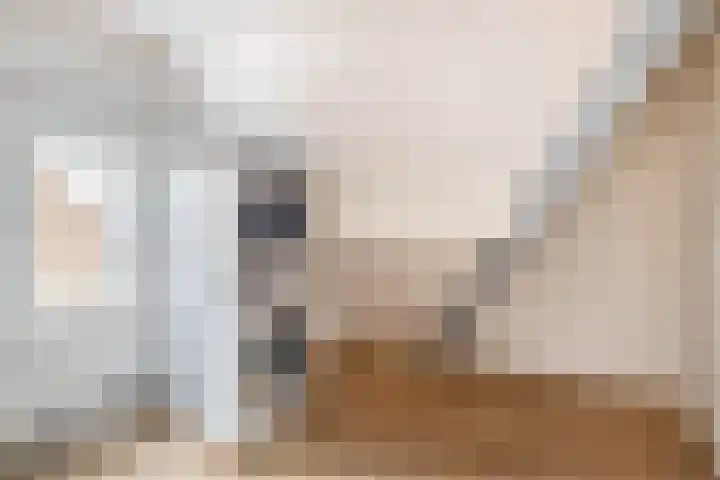 Ligtsedreef 22 Nuenen thumbnail 36