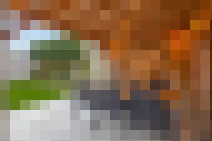 Ligtsedreef 22 Nuenen thumbnail 4