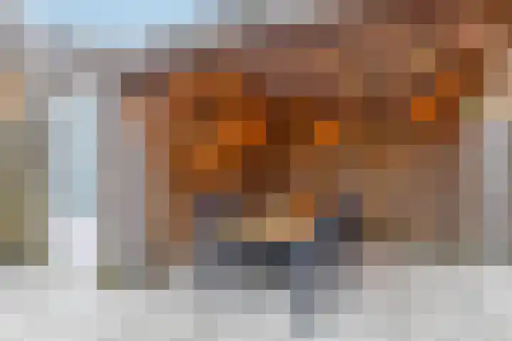 Ligtsedreef 22 Nuenen thumbnail 40