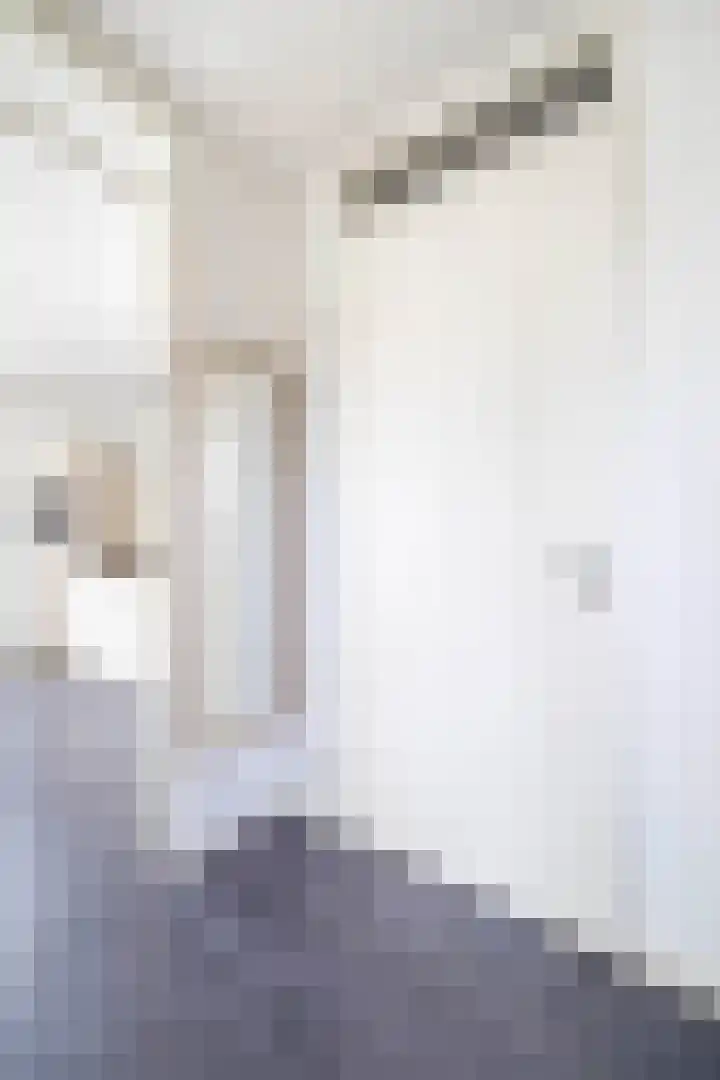 Ligtsedreef 22 Nuenen thumbnail 8