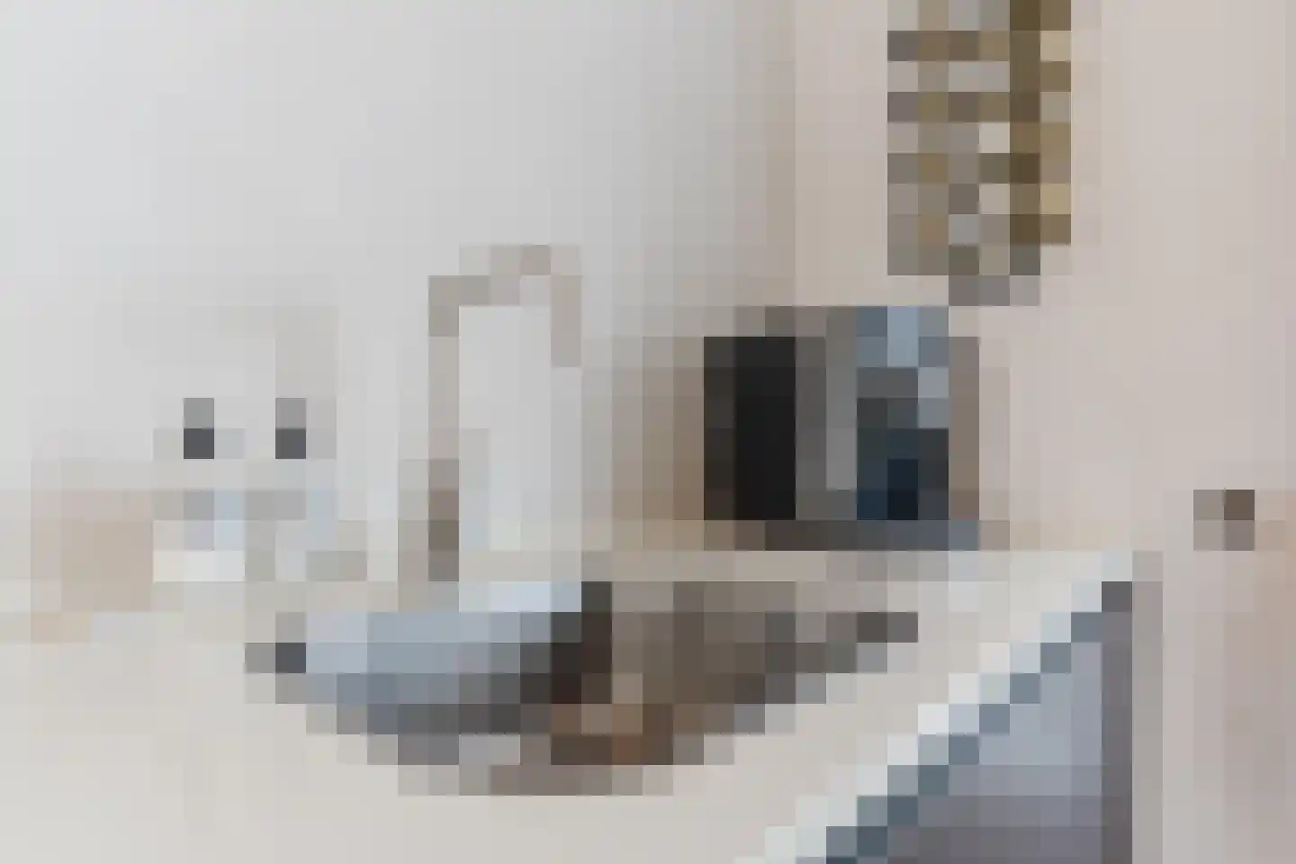 Ligtsedreef 47 Nuenen thumbnail 15