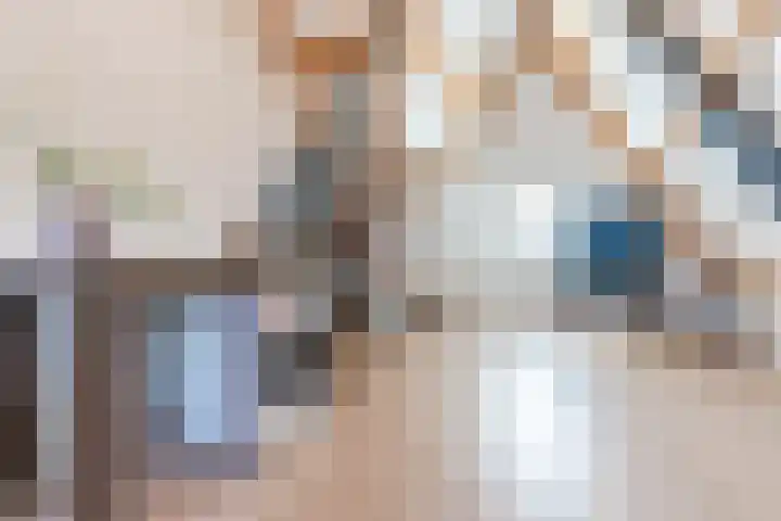 Ligtsedreef 47 Nuenen thumbnail 31