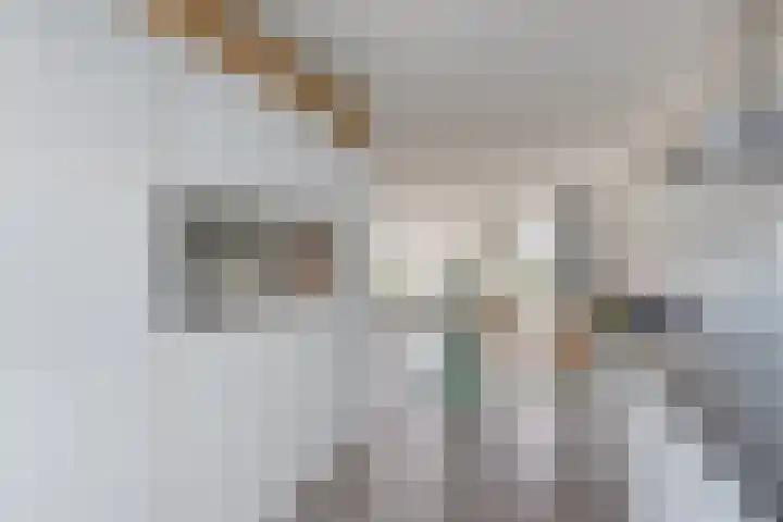 Ligtsedreef 6 Nuenen thumbnail 10