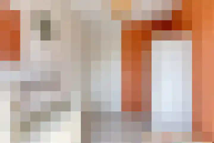 Ligtsedreef 6 Nuenen thumbnail 16