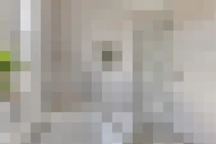 Ligtsedreef 6 Nuenen thumbnail 21