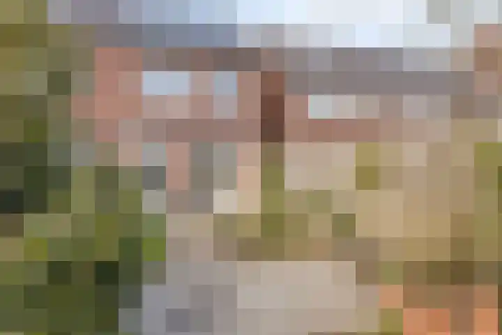 Ligtsedreef 6 Nuenen thumbnail 28