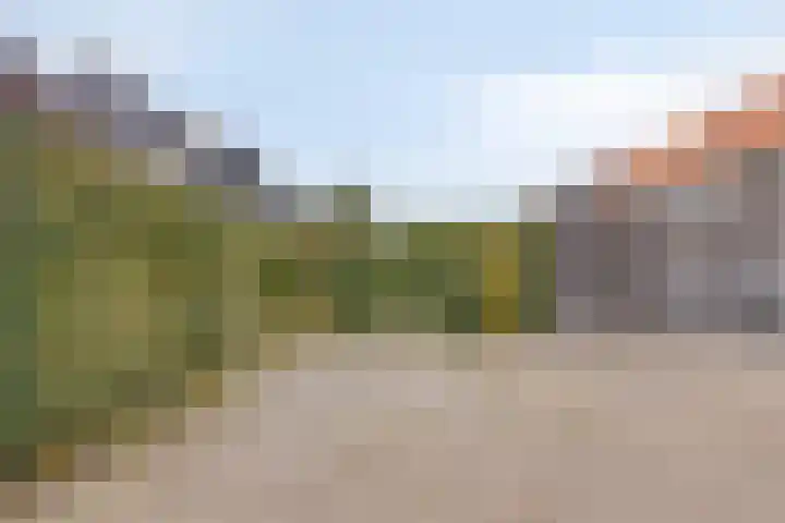 Ligtsedreef 6 Nuenen thumbnail 31