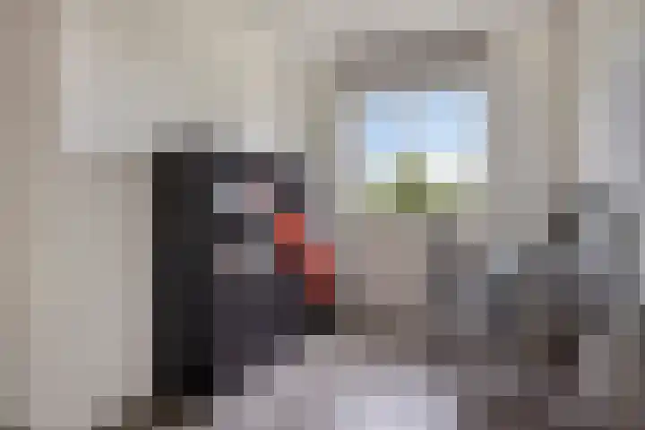Ligtsedreef 7 Nuenen thumbnail 16