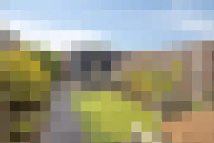 Ligtsedreef 7 Nuenen thumbnail 25