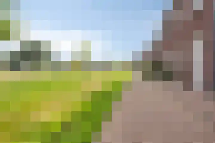 Ligtsedreef 7 Nuenen thumbnail 29