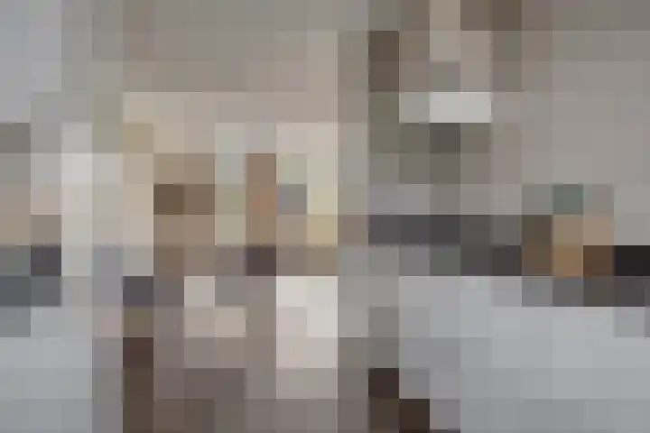 Ligtsedreef 7 Nuenen thumbnail 8