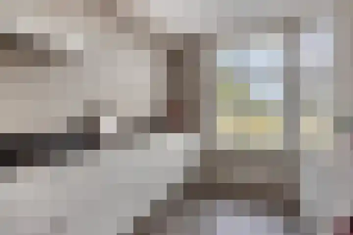 Ligtsedreef 7 Nuenen thumbnail 9