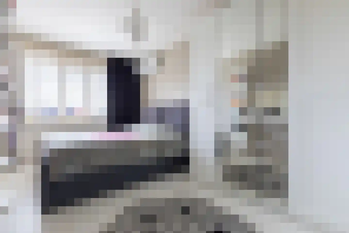 Ligtsedreef 9 Nuenen thumbnail 20