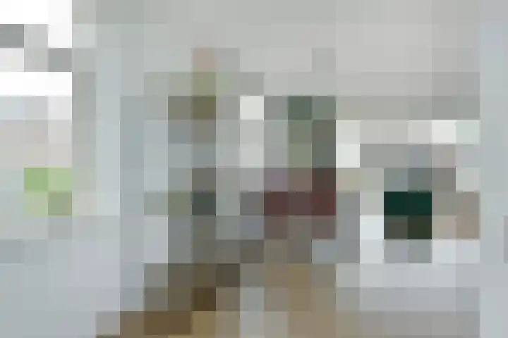 Liguster 10 Nieuwveen thumbnail 10