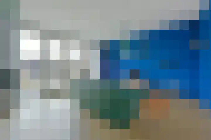 Liguster 10 Nieuwveen thumbnail 13