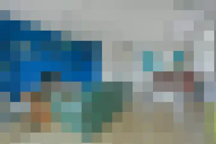 Liguster 10 Nieuwveen thumbnail 15