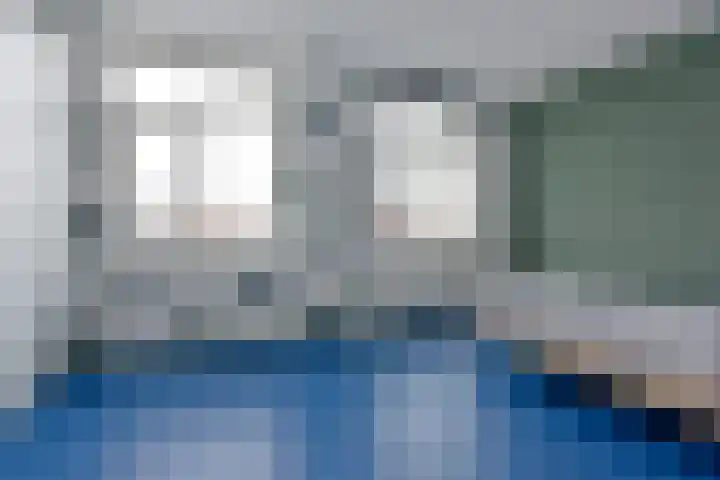Liguster 10 Nieuwveen thumbnail 17