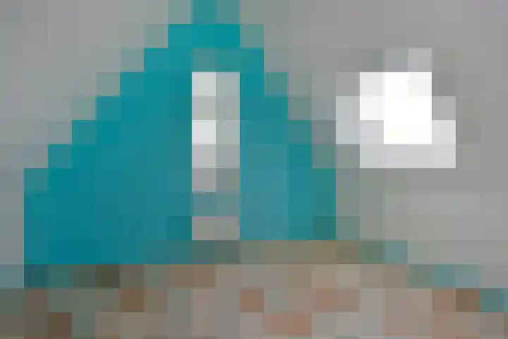 Liguster 10 Nieuwveen thumbnail 27