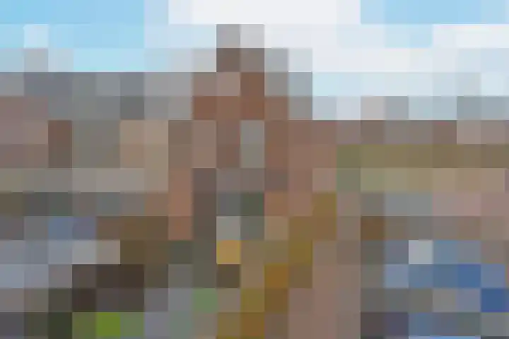 Liguster 10 Nieuwveen thumbnail 30