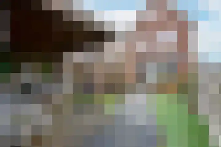 Liguster 10 Nieuwveen thumbnail 31