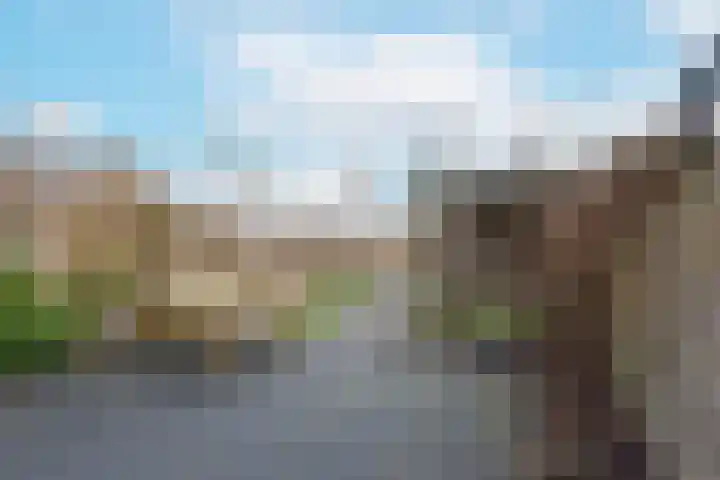 Liguster 10 Nieuwveen thumbnail 32