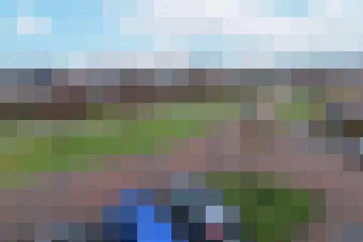 Liguster 10 Nieuwveen thumbnail 33