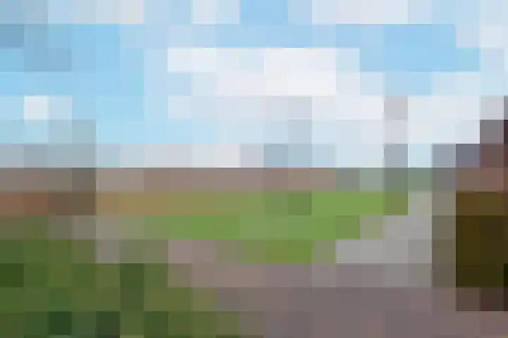 Liguster 10 Nieuwveen thumbnail 34