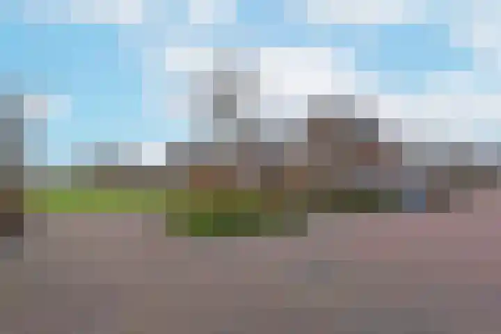 Liguster 10 Nieuwveen thumbnail 35
