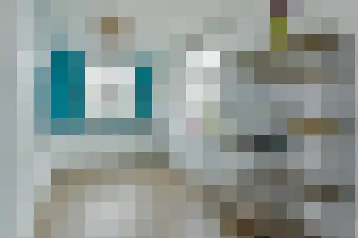 Liguster 10 Nieuwveen thumbnail 9