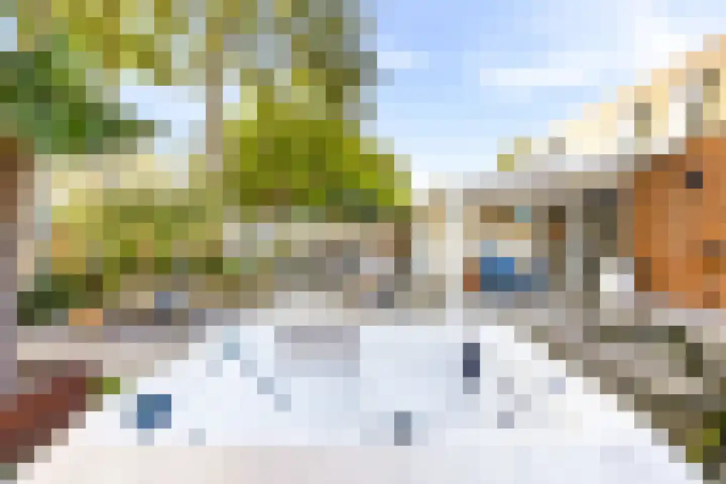 Liguster 11 Nieuwvliet thumbnail 11