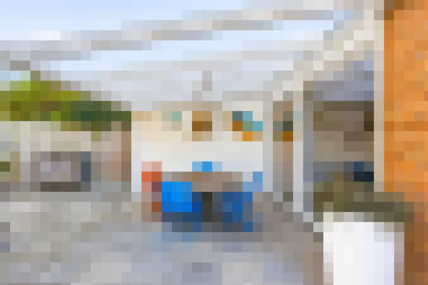 Liguster 11 Nieuwvliet thumbnail 12