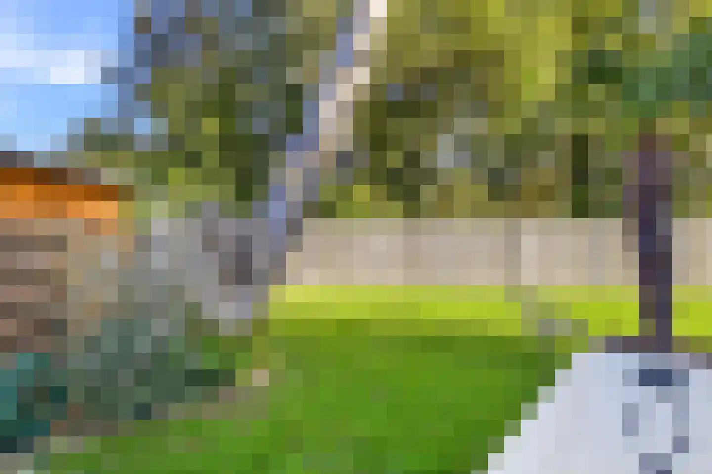 Liguster 11 Nieuwvliet thumbnail 15