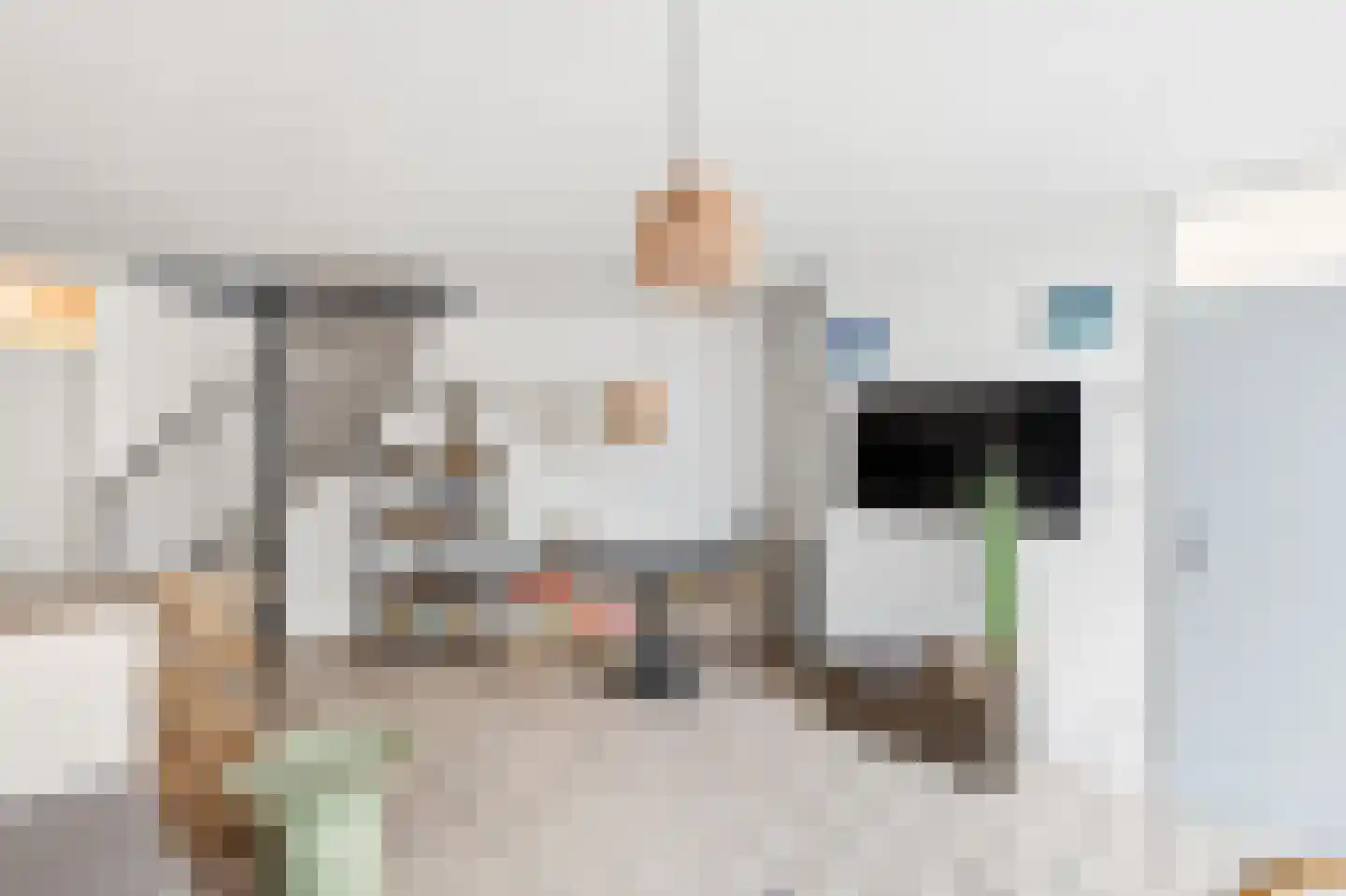 Liguster 11 Nieuwvliet thumbnail 23