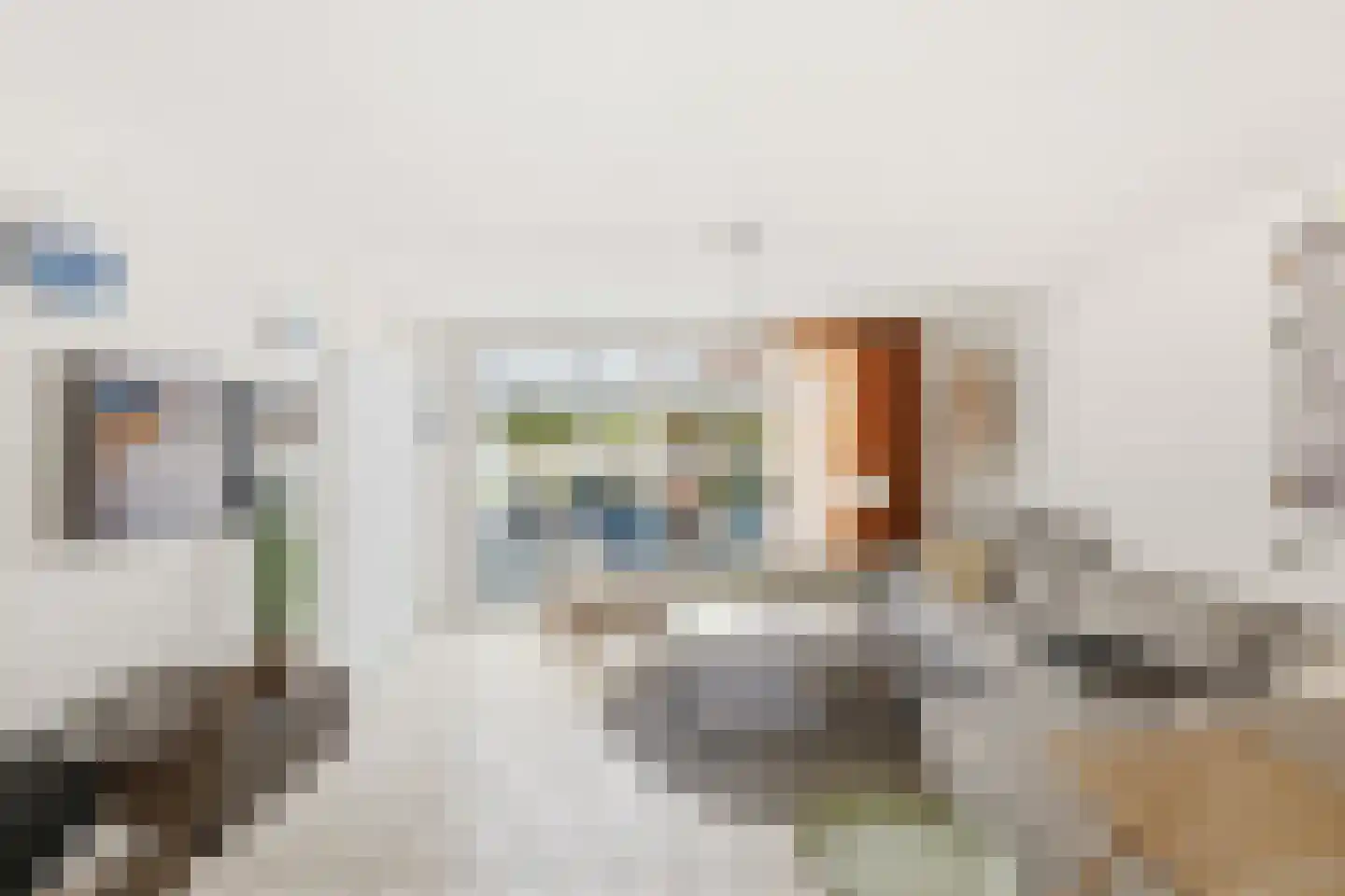 Liguster 11 Nieuwvliet thumbnail 24