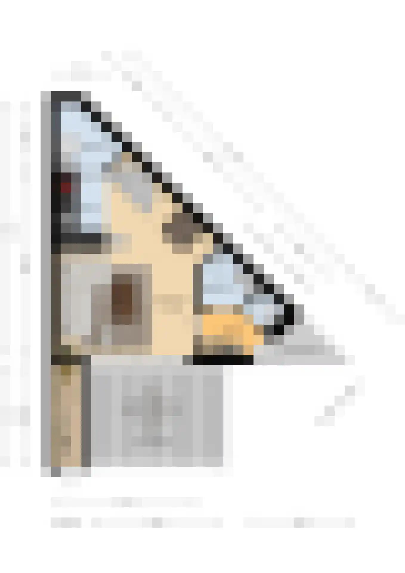 Liguster 11 Nieuwvliet thumbnail 29