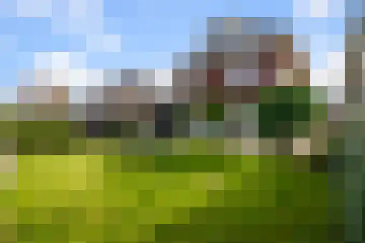 Liguster 13 Heiloo thumbnail 39