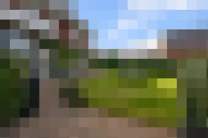 Liguster 13 Heiloo thumbnail 40