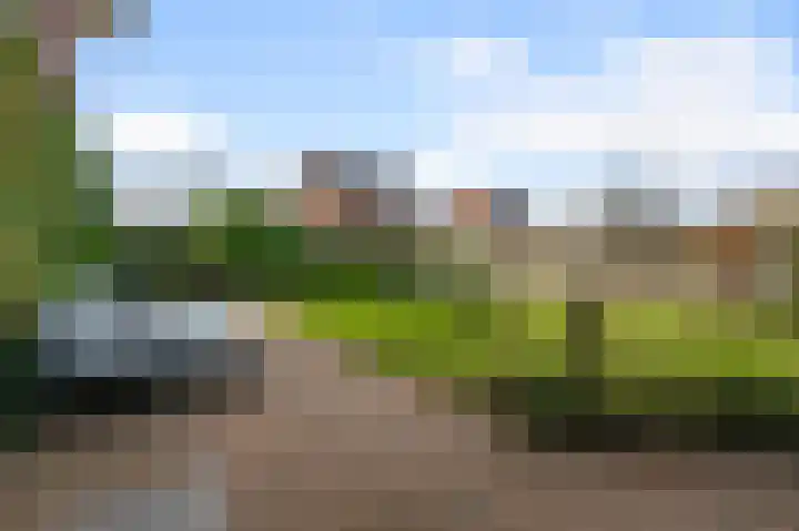 Liguster 13 Heiloo thumbnail 41
