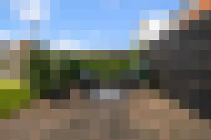 Liguster 13 Heiloo thumbnail 43