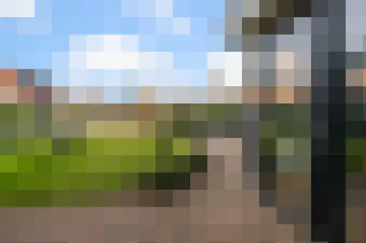Liguster 13 Heiloo thumbnail 45
