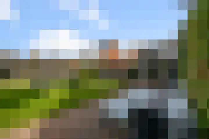 Liguster 13 Heiloo thumbnail 46