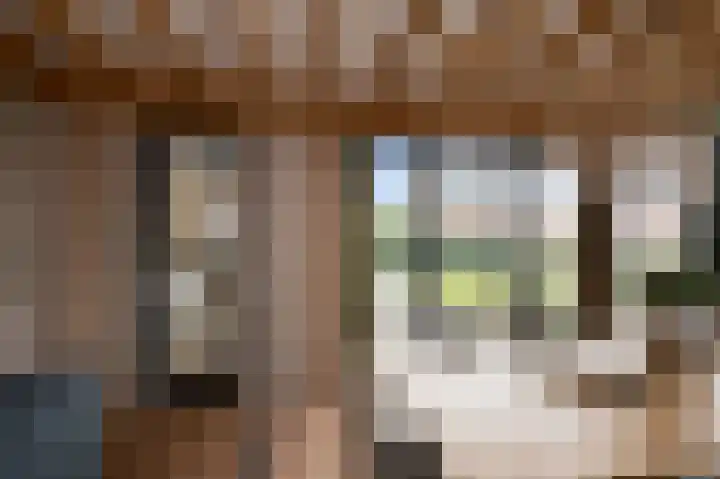 Liguster 13 Heiloo thumbnail 48