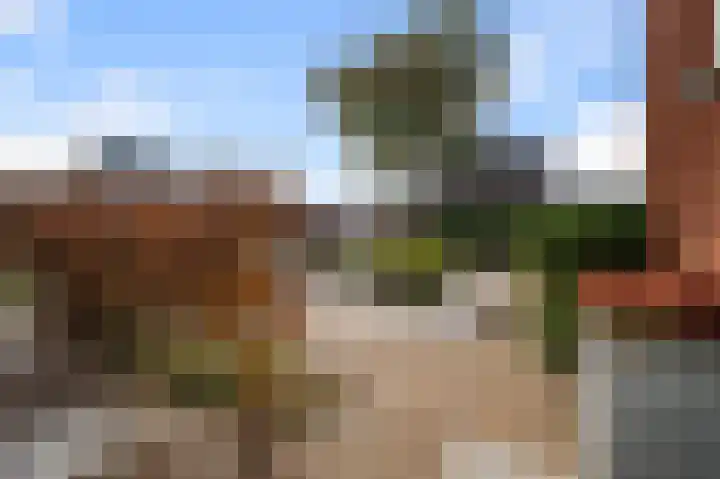 Liguster 13 Heiloo thumbnail 52