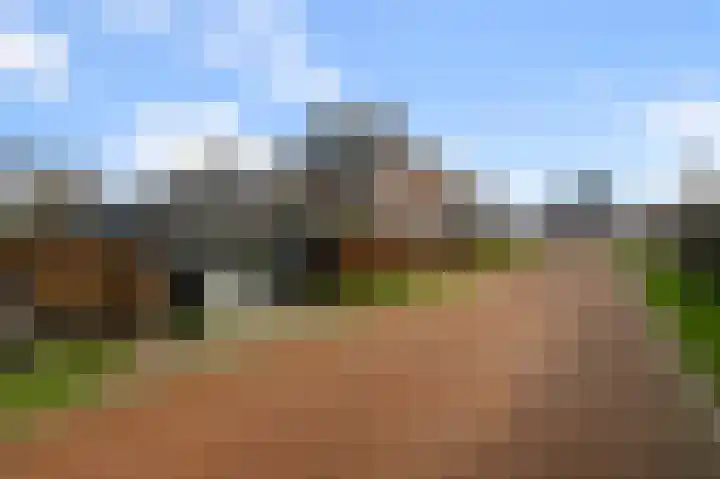 Liguster 13 Heiloo thumbnail 55
