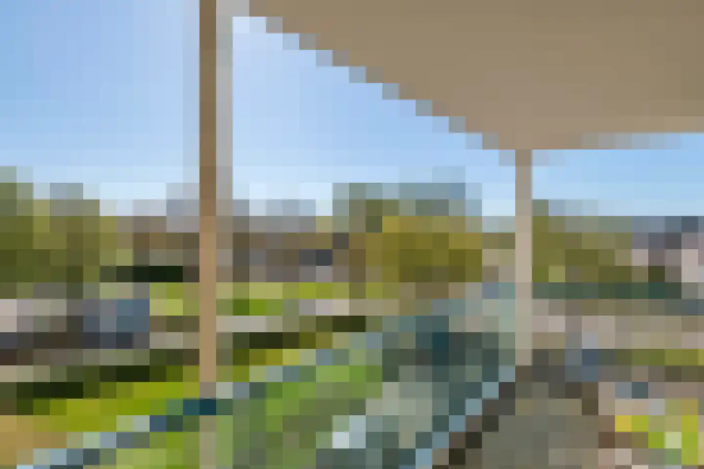 Liguster 14 Tiel thumbnail 23